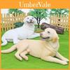Childrens Realistic Pet Dog Model With Pvc Material For Educational And Decorative Use