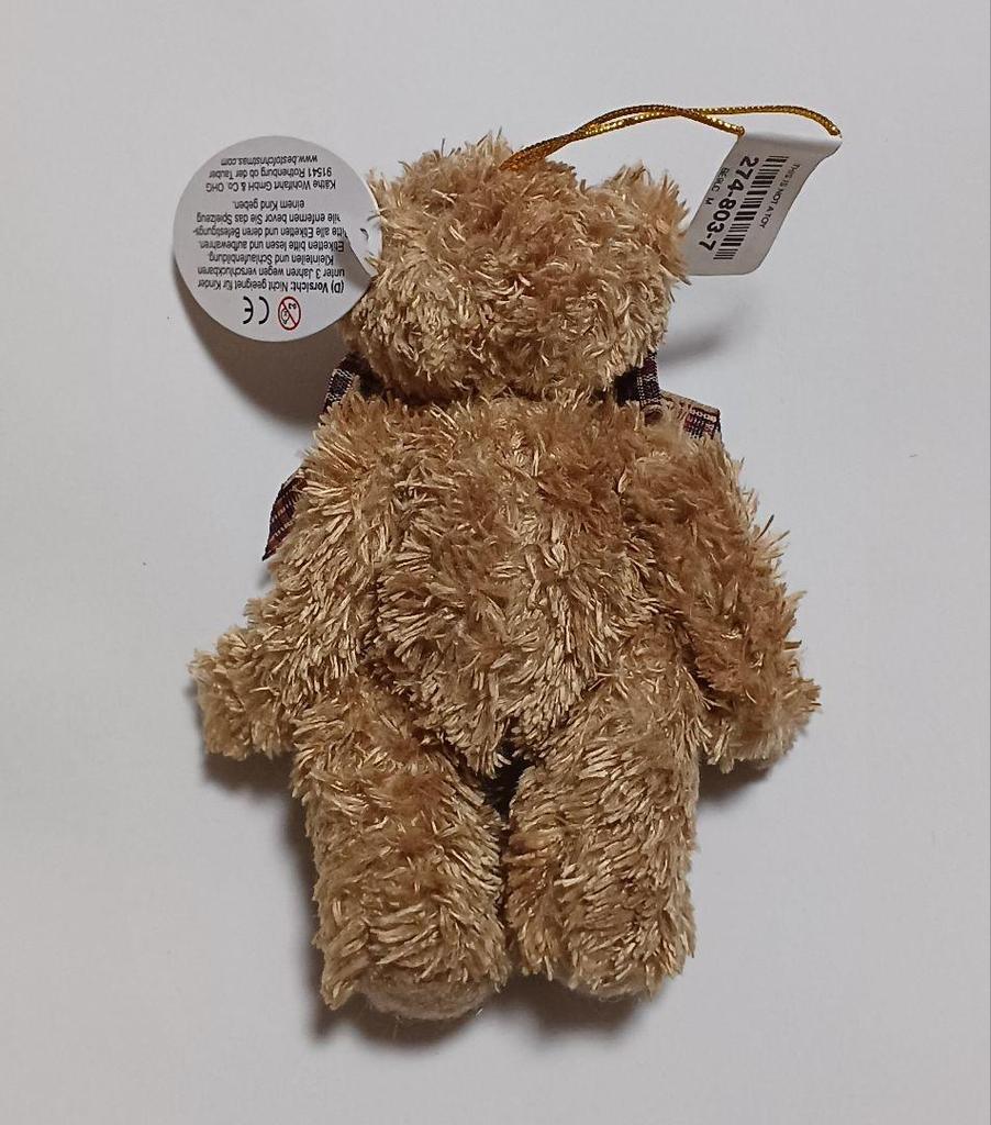 [USED] Teddy Bear Mascot