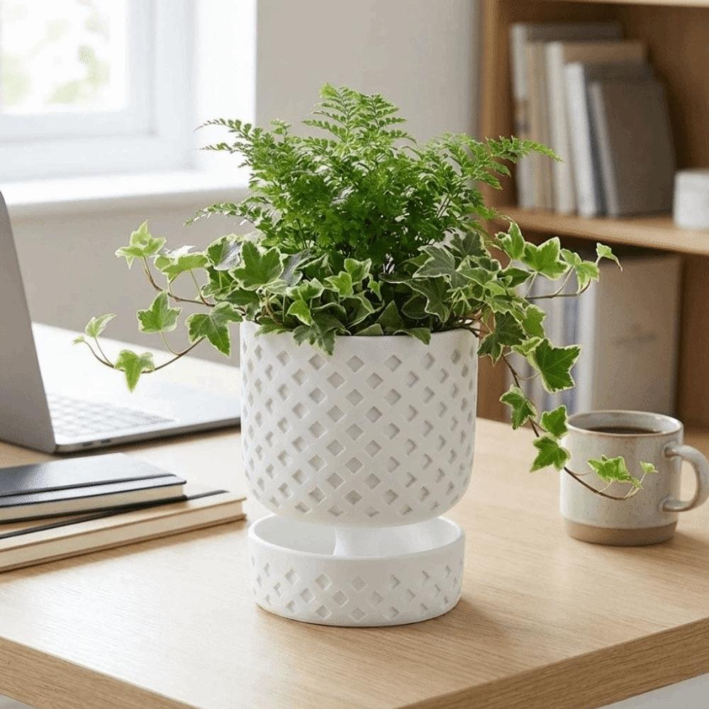Plastic Succulent Plant Basin Root Control Green Onion Pots Plant Containers Green Plants