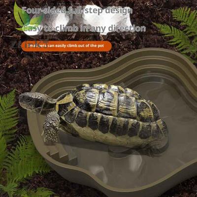 Turtle Frog Bathing Basin With Anti-Slip Ramp Can Also Be Used As Food Bowl And Water Basin For Reptiles And Amphibians