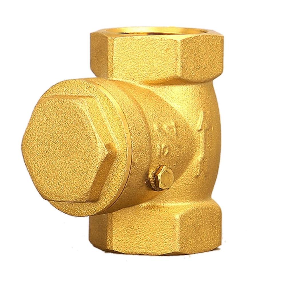 Heizi DN20 3/4 Check Valve, Check Valve, Brass with Arrow, Gas Heater, , Air, , , Acidic Gas