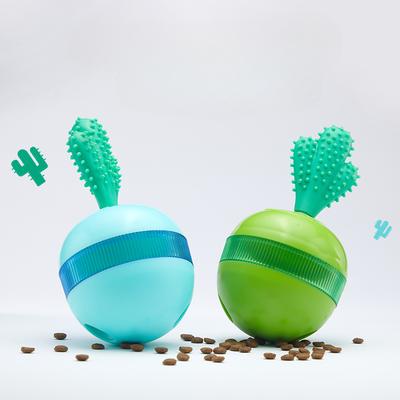 Cães – Brinquedos para cães
