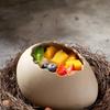 Fuglereir-egg Keramisk bolle Kald drikke Grill Kreativ Spesiell Kunstnerisk Konseptfat Dessert Molekylær Gastronomi