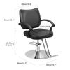 Premium Hydraulic Stylist Chair, 360° Swivel Rolling Salon Beauty Chair, Heavy Duty Pump, 330lbs Max Load