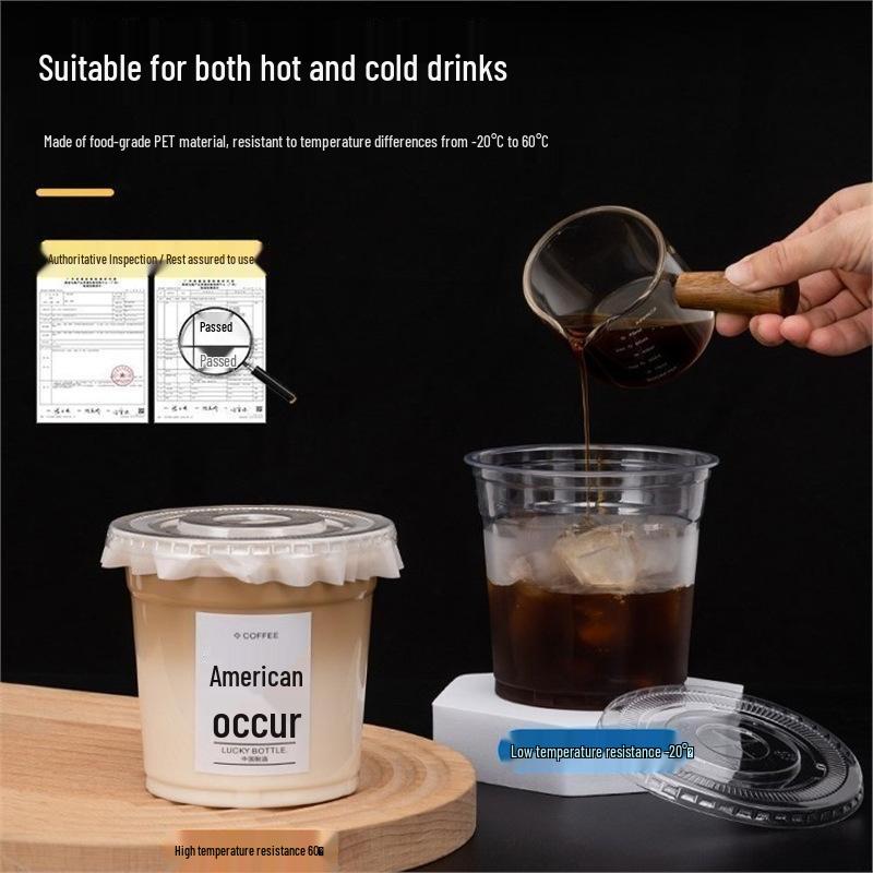 JingJingRS 700ml Disposable PET Cold Drink Cups (100 Sets)
