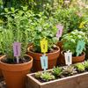 10/12PCS Waterproof Garden Marker Thickened Markers Label Plastic Writing Plate  Garden Nursery