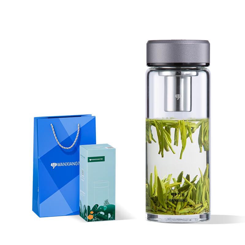 Wandian Portable Glass Bottle with Tea Infuser