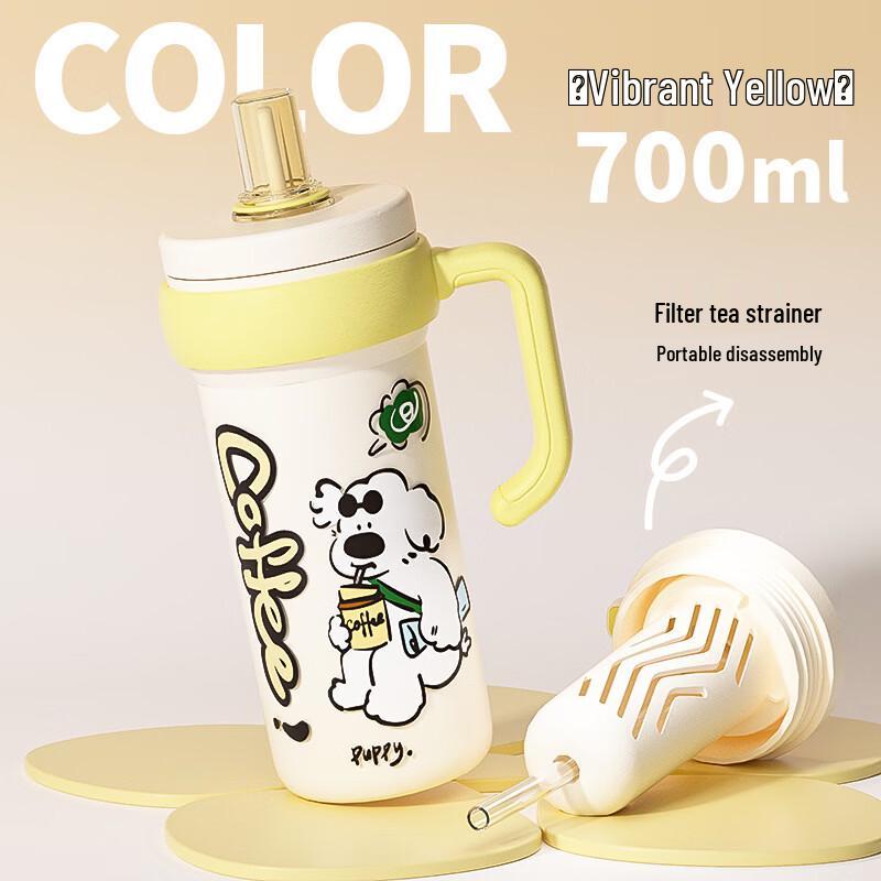 

OLOEY 316 Stainless Steel Insulated Tumbler with Handle & Straw