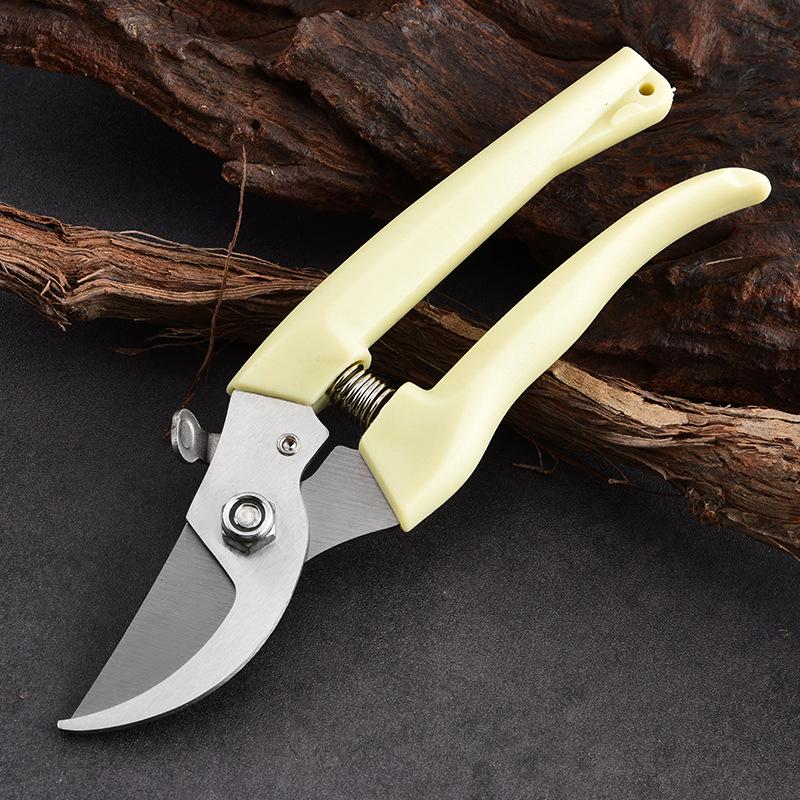 Horticultural Pruning Shears and Floral Scissors for Fruit Tree Branches