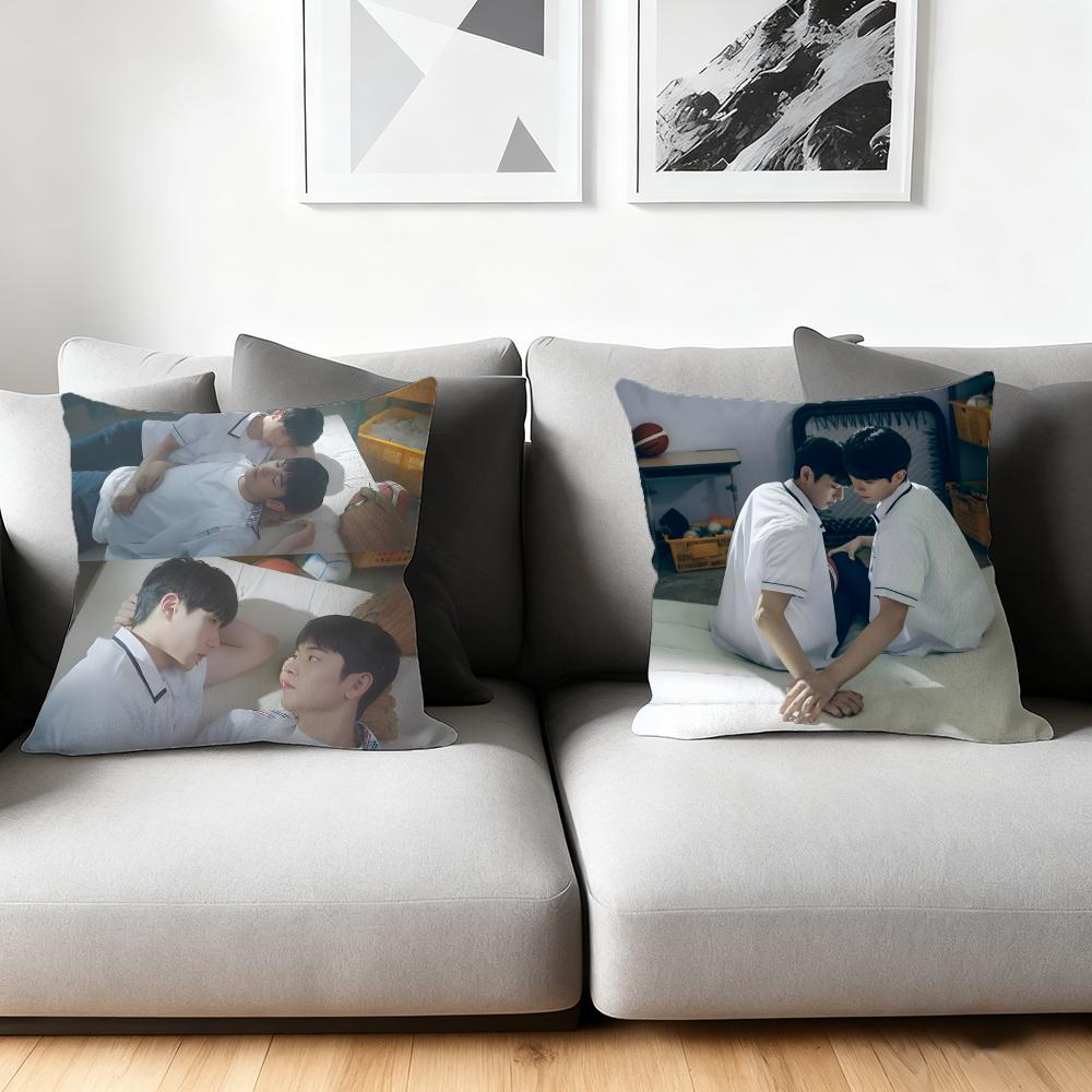 Cushion Cover Silky Short Plush Home Sofa Cushion Cover - Invisible Zipper Home Decoration A Breeze Of Love