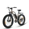SPATIAL Parrot Bicicletta Elettrica da Donna All-Terrain Motore 250W Batteria 48V13AH Bicicletta Elettrica da Passeggio all'Aperto Bici Elettrica da Montagna Off-Road da 26 Pollici