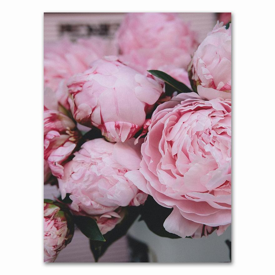 Canvas Painting Elegant Peony Flower Phrase Poster And Print Wall Art Picture For Living Room Home Decoration Nordic Decor