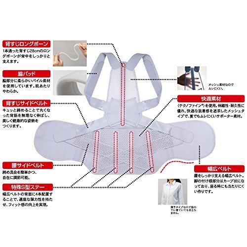 Alphax Doctor's Posture Corrector Belt for Waist and Back Support, LL-3L, Made in Japan