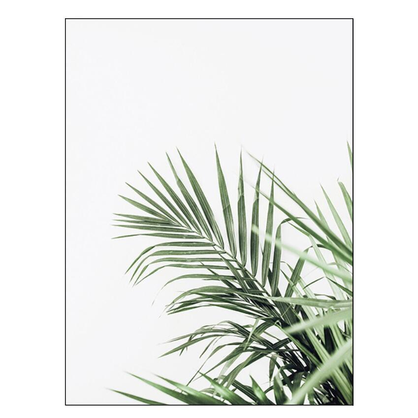 Weiße Tulpe, grüne Sukkulenten, Aloe, Monstera, Pflanzenkunst, nordisches Poster, Leinwandmalerei und Druck von Wandbildern für die Wohnzimmerdekoration