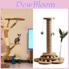 Cat Scratcher Toy With Rope Durable Nonshedding For Indoor Cats