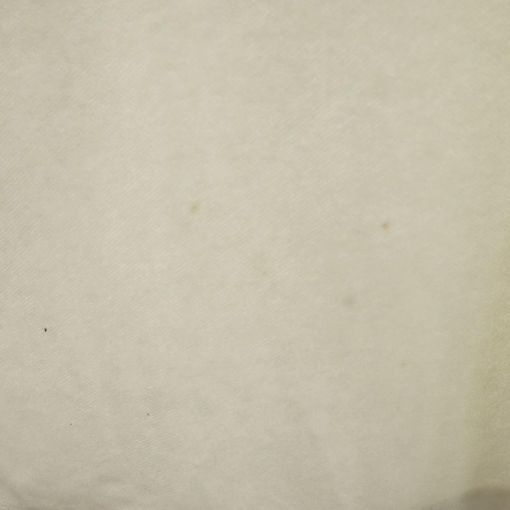 Santa Fe 90s Made In Japan Old Short Sleeve V-neck Terry Cut 4 Off White Men's Used