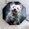 1PC cute dog pet puppy Umbrella Portable Folding Umbrella Iron Frame Hole Bone Structure Outdoor Home Umbrella A10