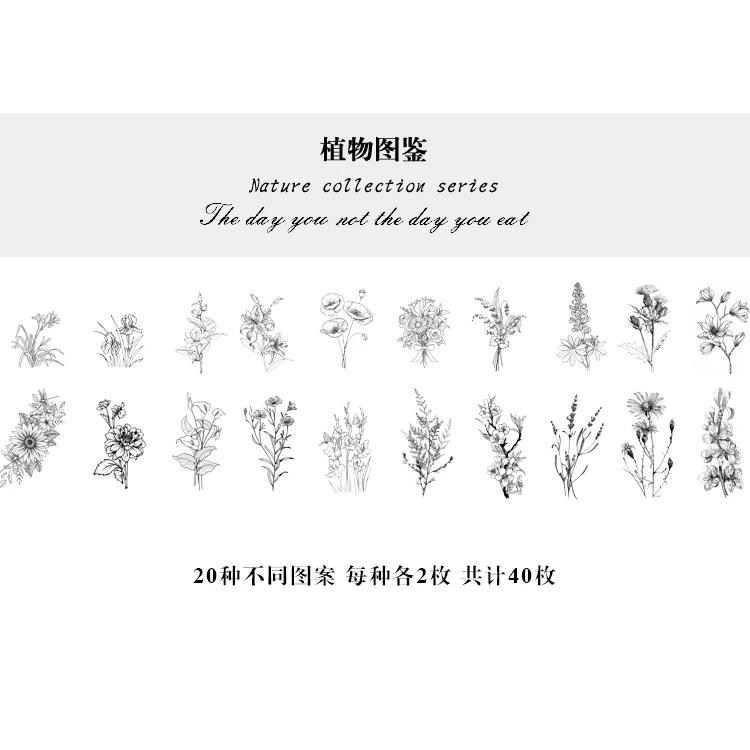 40pcs Natural Stickers Journaling Stationery Transparent PET Flowers Leaves Plants Deco Stickers