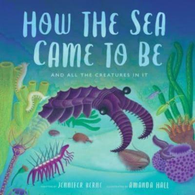 How the Sea Came To Be by Jennifer Berne Hardback Book 9780802854780