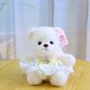 New bear doll eight-inch grab machine doll cute hug bear doll wearing skirt teddy bear plush toy gift