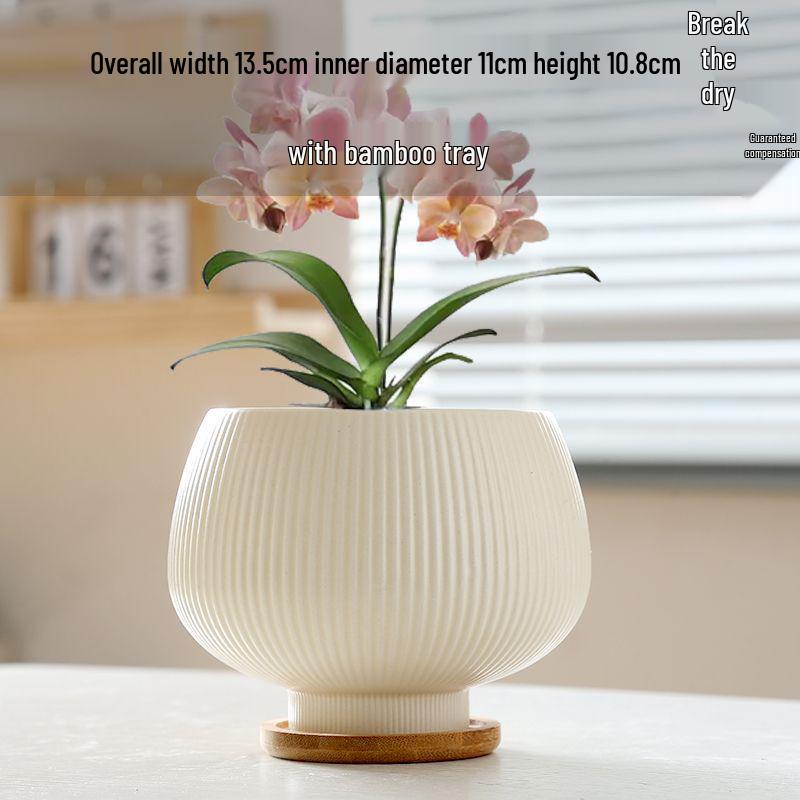 Ceramic Flower Pot with Tray for Orchids and Succulents