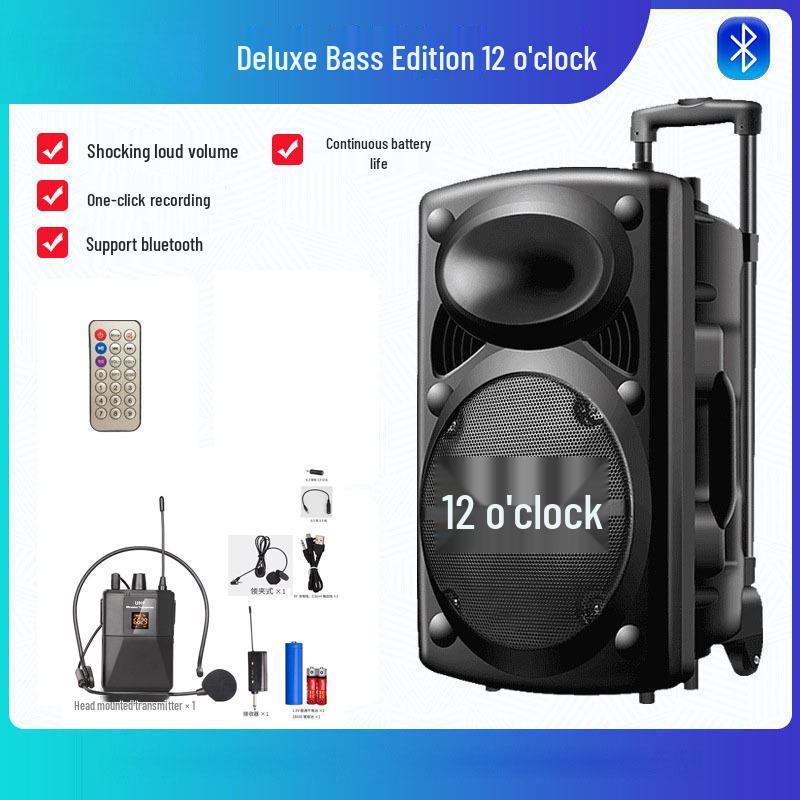 12-Inch Portable Bluetooth Speaker with High Volume for Outdoor Events and Karaoke