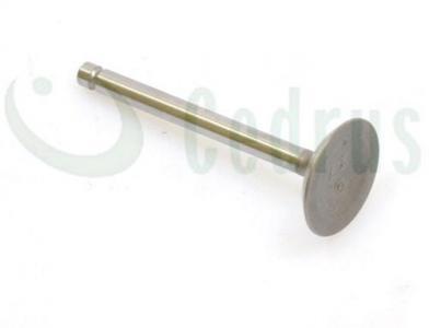 

Robin Ex17 Intake Valve Original Part 0001000341