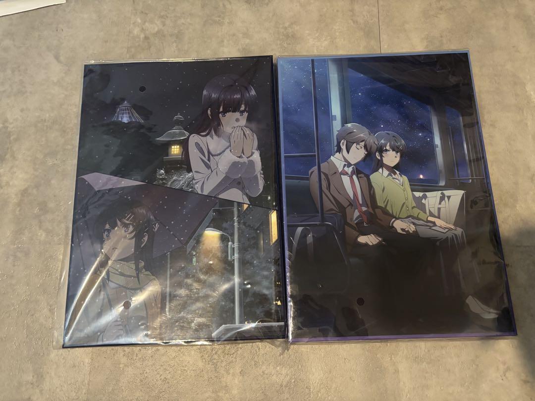 

[USED] Seishun Buta Yarou Movie Pamphlet Deluxe Edition Aobuta