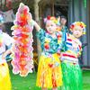 50Pcs Colorful Hawaiian Flower Garland Artificial Tropical Leis for Beach Party and Event Decor