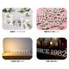 5cm Alphabet Letters, White (Letters and Numbers Set)