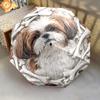 1 PC Automatic Folding Umbrella - Shih Tzu Pattern, Portable & Foldable Design with 8 Ribs, Christmas Birthday Gifts