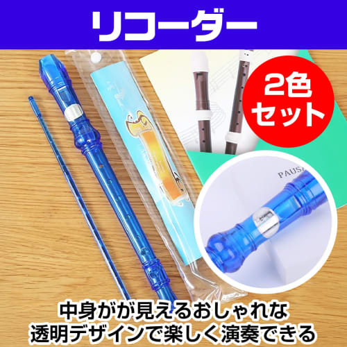 Boono Transparent Soprano Recorder for Elementary School Students, 8 Holes, with Cleaning Rod, Set of 2 for Home Practice and Hobbies (Set of 2 Colors