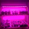 T5 لمبة أنبوبية LED تنمو ضوء للنباتات بذور زهرة الخضروات تنمو خيمة صندوق الإضاءة Phytolamps الطيف الكامل 85-265 فولت LED مصباح نباتي مع محول الاتحاد الأوروبي