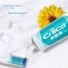 Nice Fresh Fruit & Cool Chrysanthemum Toothpaste Twin Pack