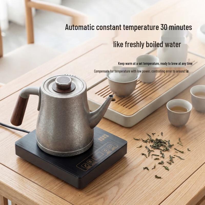 Yiwu Pure Titanium Electric Tea Kettle with Auto Water Pump