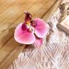 Fermagli per capelli a forma di fiore di giglio per donne ragazze Barretta Clip a pinza di granchio Fermagli per capelli per coda di cavallo Copricapo da bagno spiaggia Accessori per capelli
