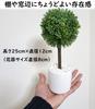 Nippon Insole Industry Interior Green Ornamental Plant Fake Mini Artificial Flower White with Pot Photocatalyst Deodorizing Disinfecting Made in