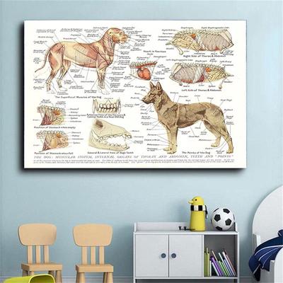 Mięśnie i narządy psa wydrukowano obraz olejny plakat laboratorium obraz do dekoracji ścian domu