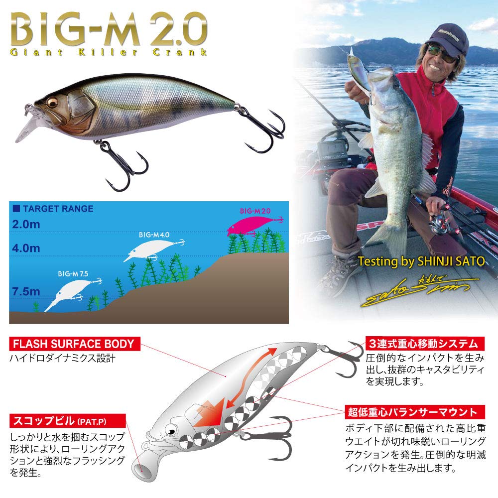 Megabass Wagin Hasu BM BIG-M 2.0