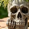 Succulent Container Skull Planter with Middle?Finger Gesture, Resin Pot, Gothic Skeleton Head Dark Aesthetic Gardening Flower Unique Desktop