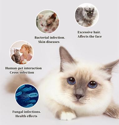 Katzenkamm, Hundehaarentfernerbürste, UVC-Sterilisation, Tierpflege, Zupfnadelkamm, entfernt verfilzte, selbstreinigende Tierbedarfsartikel
