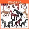 Modèle de Cheval Miniature Collectionnable PVC Figurines Statiques Set Modèle Animal Pour Affichage et Décoration