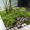 Artificial Moss DIY Crafts Home Decor Low Maintenance