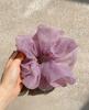 Organza Hair Tie for Women - Korean Style Rubber Band with Leather Case