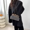 Fashionable Chain Handbag 2023 Winter New Trendy Simple Single Shoulder Shell Bag Casual Crossbody Bag Black Silver