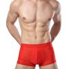 Men's Breathable Transparent Boxer Briefs Sexy Underwear Panties Briefs