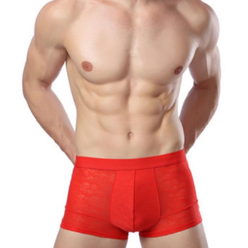 Men's Breathable Transparent Boxer Briefs Sexy Underwear Panties Briefs