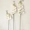 Latex 9-Heads Artificial Butterfly Orchid  3Dprint  Large Size  Fake Phalaenopsis Silicon PU Real Touch Wedding Home Decor