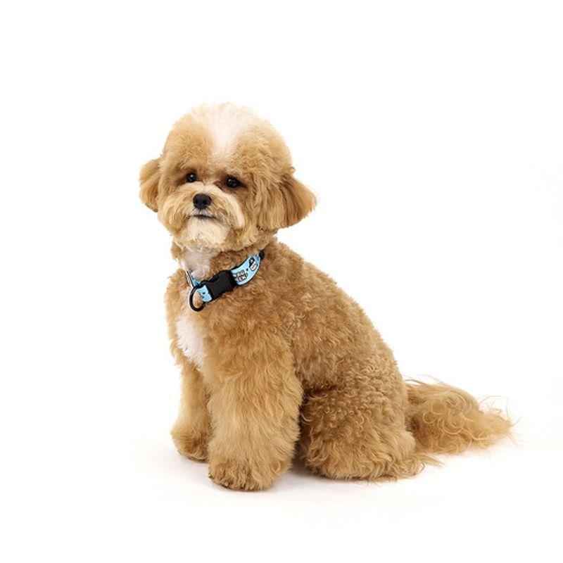 KINIKINI [Kinikini X Up Up] SWAG CHICHI COLLAR-BLUE (Necklace)