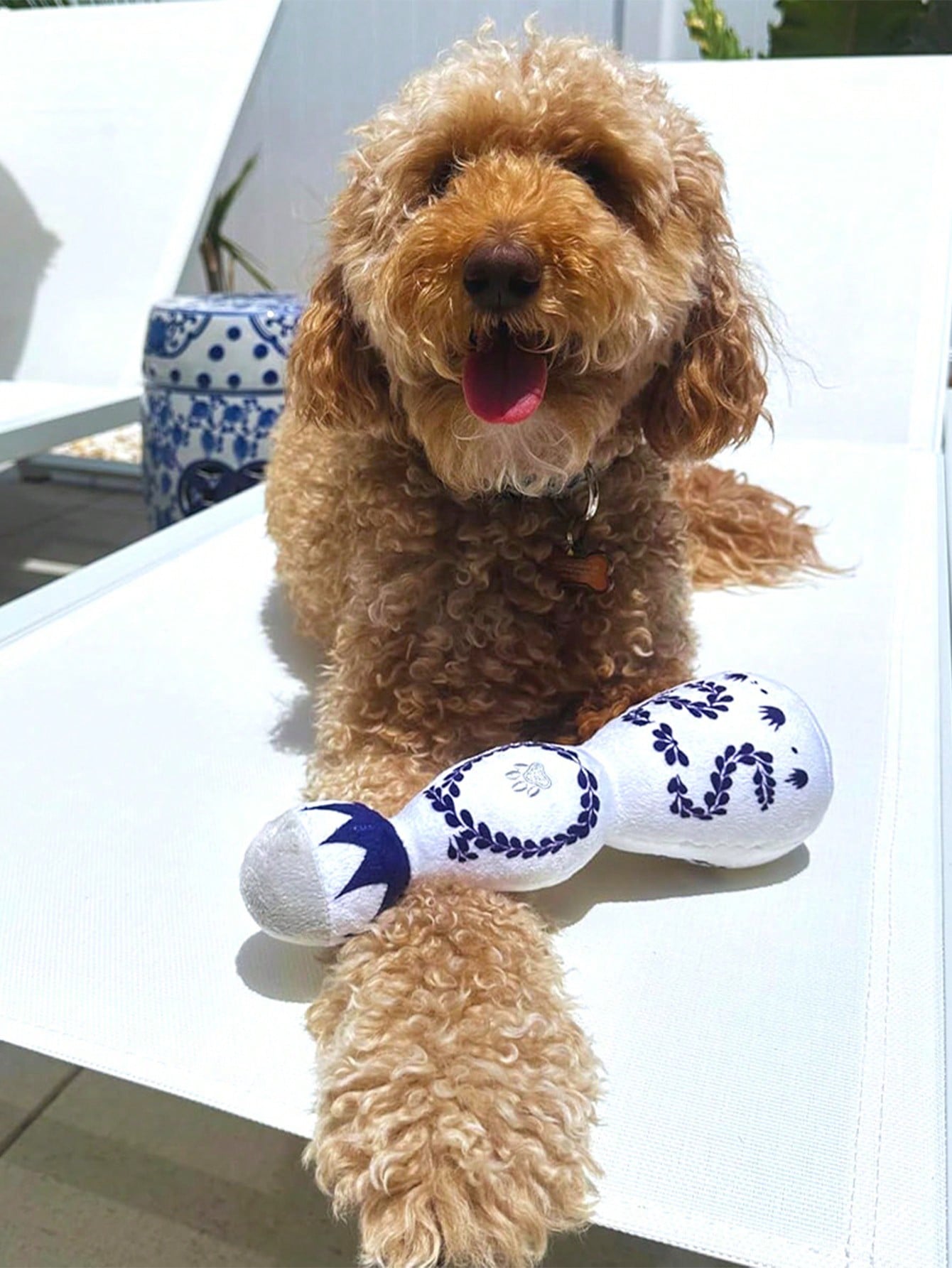 

Смешная Милая Прочная Уникальная Плюшевая Игрушка для Собак со Пищалкой для Маленьких и Средних Собак - Милые Подарки для Собак на День Рождения - Милая Игрушка для Собаки со Пищалкой one-size белый